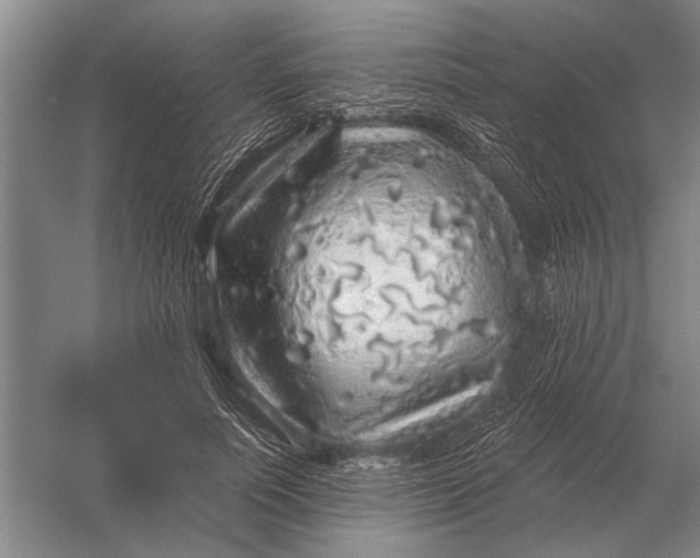 X0000056370691200509161855