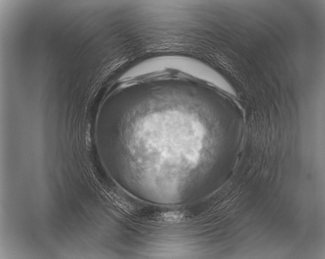 X0000056370692200509161855