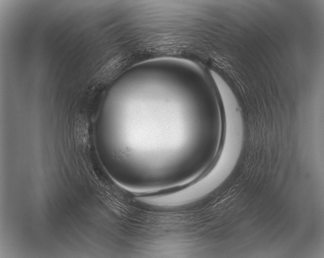 X0000056370693200509161855