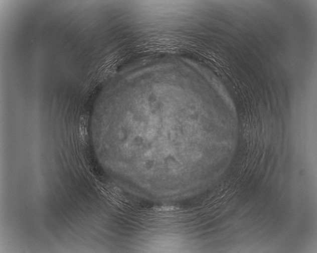 X0000056370695200509161855