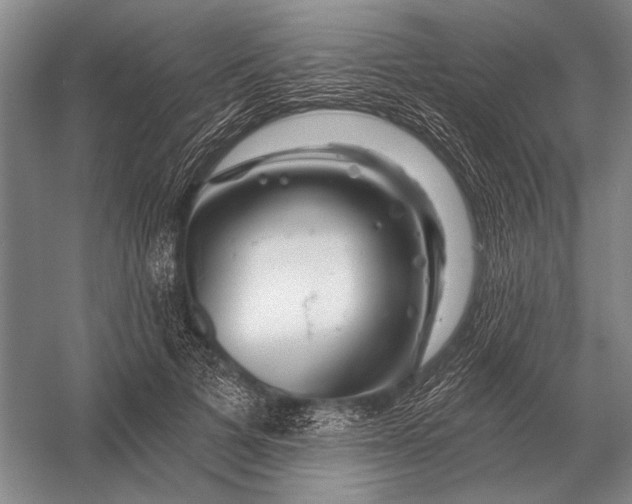 X0000056370697200509161855