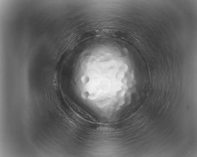 X0000056370699200509161855