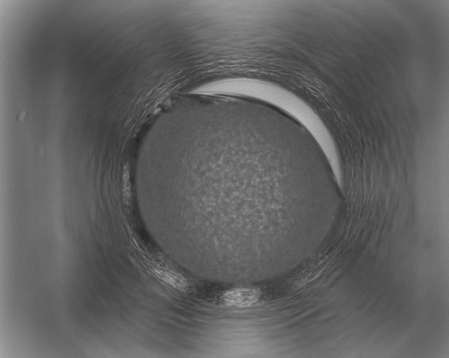 X0000056370700200509161854