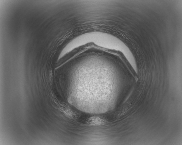 X0000056370704200509161854