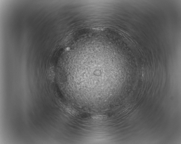 X0000056370707200509161854