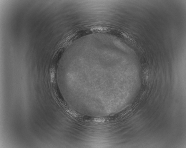 X0000056370709200509161854