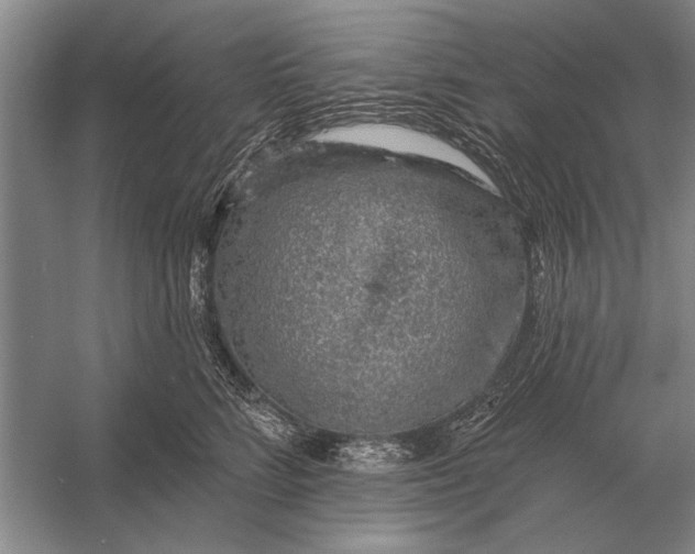 X0000056370712200509161854