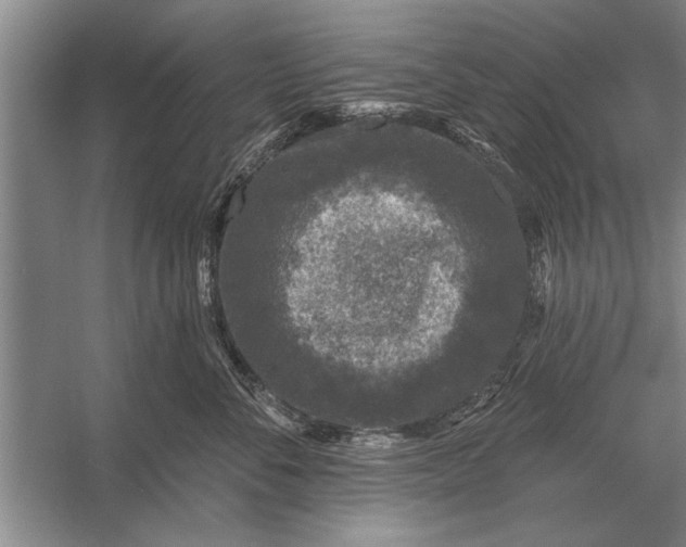 X0000056370716200509161854