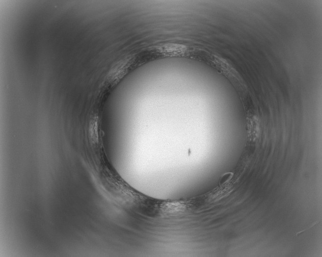 X0000056370717200509161854