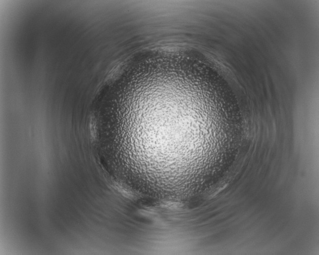 X0000056370718200509161854