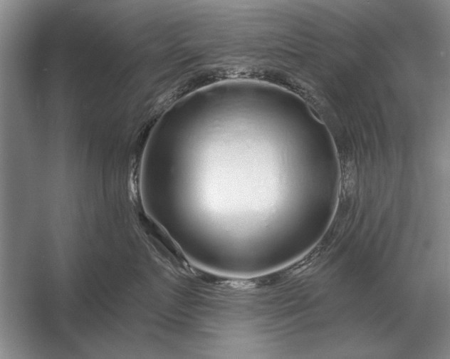 X0000056370719200509161854