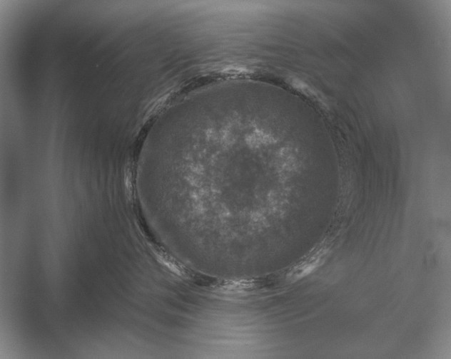 X0000056370720200509161854