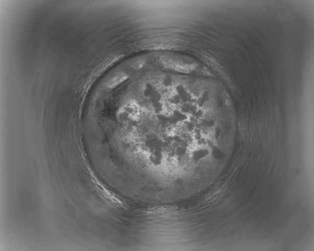 X0000056370721200509161853