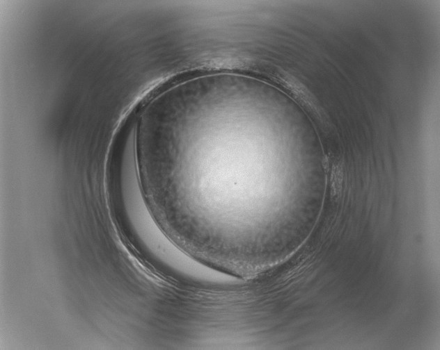 X0000056370722200509161853