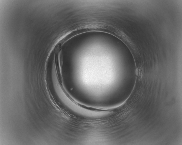 X0000056370724200509161853