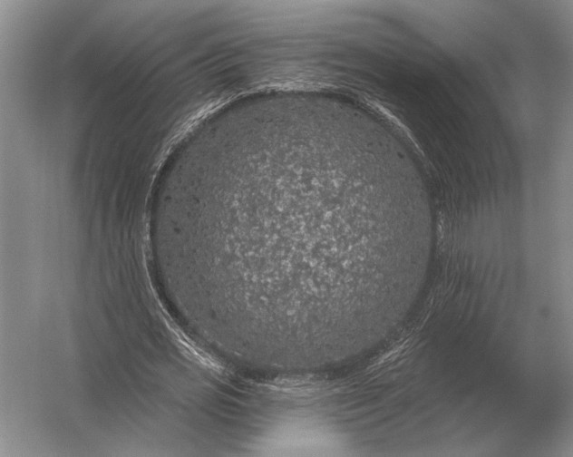 X0000056370725200509161853