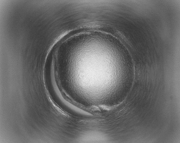 X0000056370726200509161853