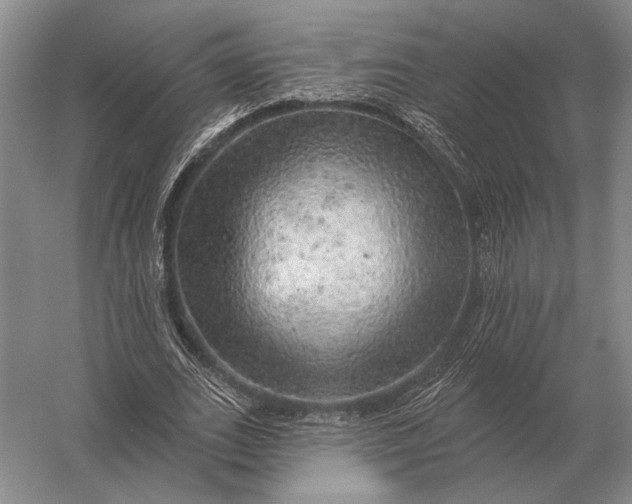 X0000056370727200509161853