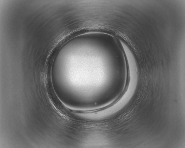 X0000056370728200509161853