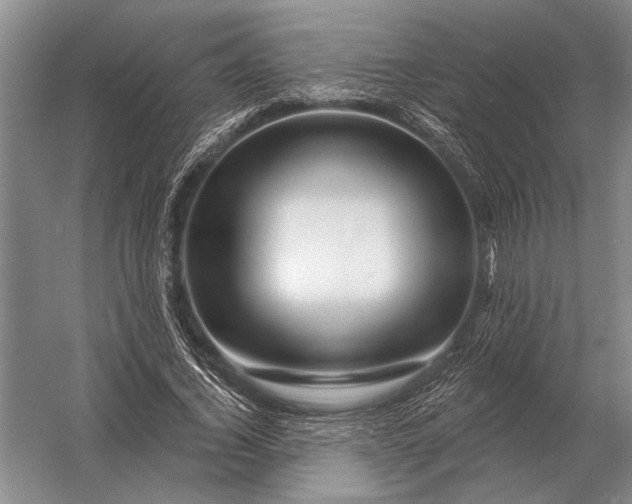 X0000056370732200509161854