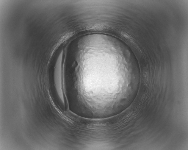 X0000056370734200509161854