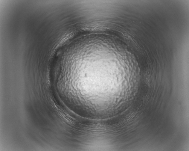 X0000056370735200509161854