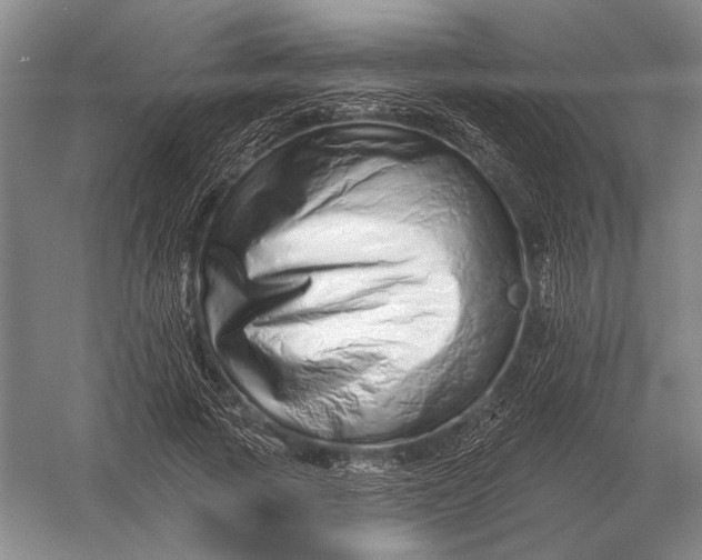 X0000056370737200509161854