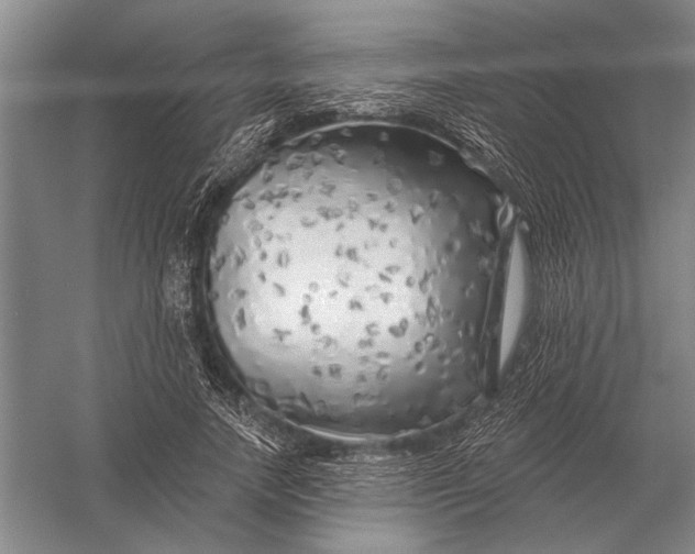 X0000056370738200509161854