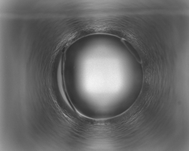 X0000056370740200509161854