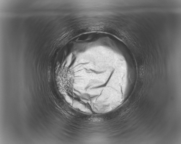 X0000056370741200509161854