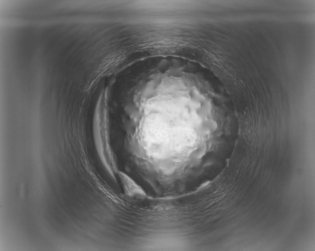 X0000056370742200509161854