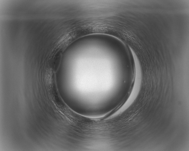 X0000056370744200509161854