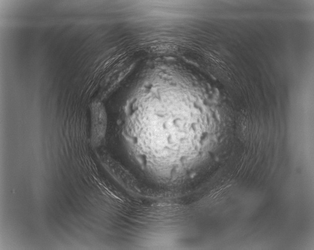 X0000056370745200509161854