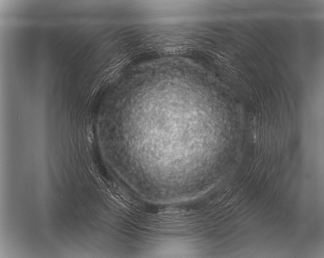 X0000056370746200509161854