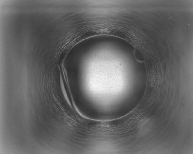 X0000056370747200509161854