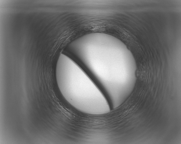 X0000056370748200509161854