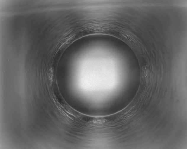 X0000056370752200509161854