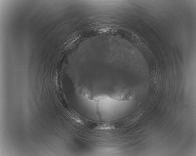 X0000056370754200509161854