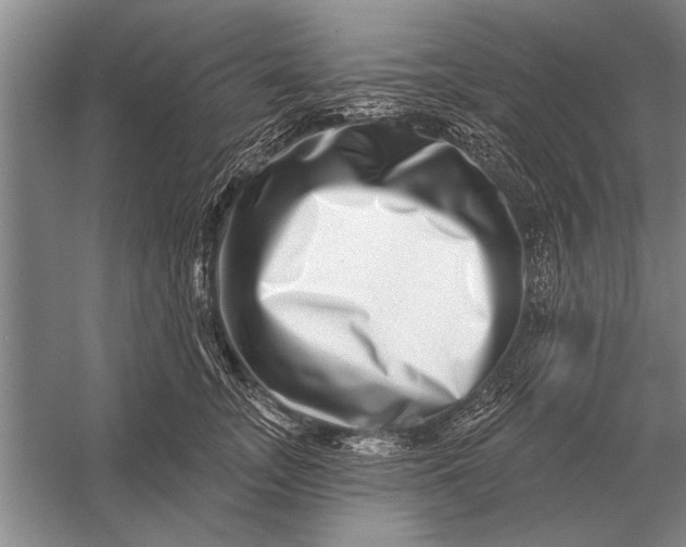 X0000056370755200509161854