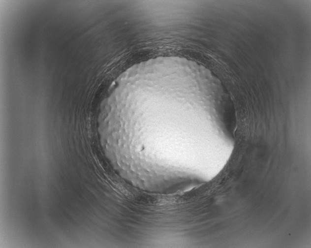 X0000056370757200509161854