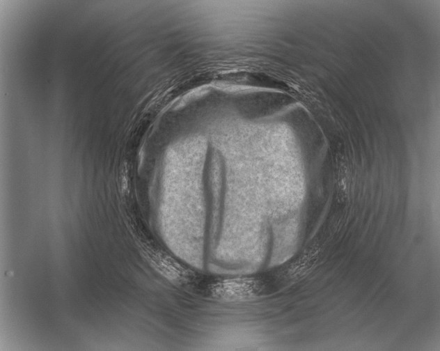 X0000056370758200509161854