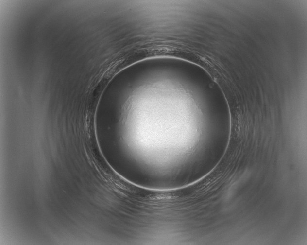 X0000056370759200509161854