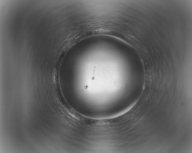 X0000056370760200509161854