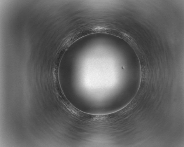 X0000056370762200509161854