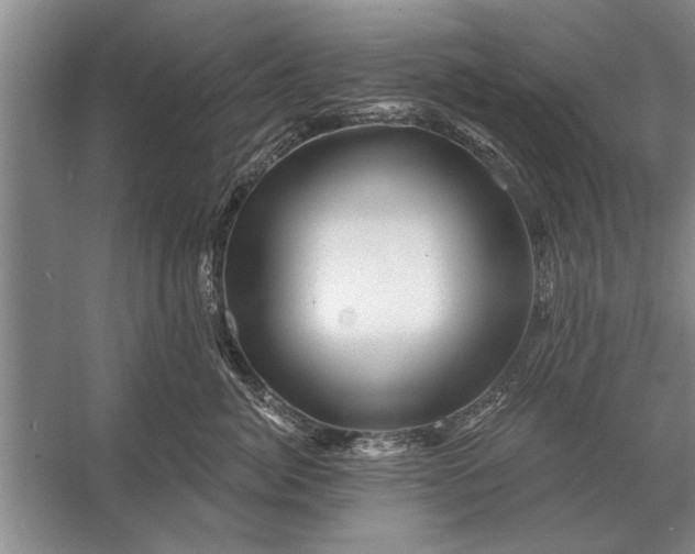 X0000056370764200509161854