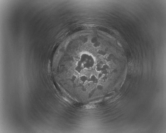 X0000056370765200509161854