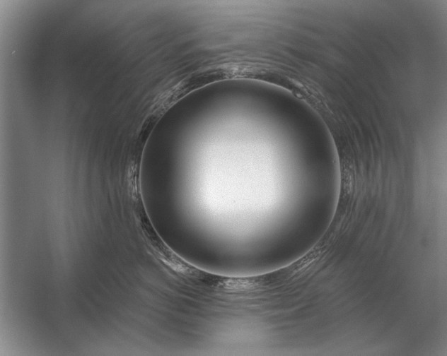 X0000056370766200509161854