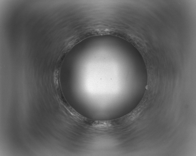 X0000056370768200509161854