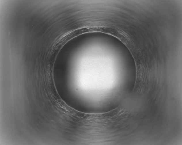 X0000056370773200509161853