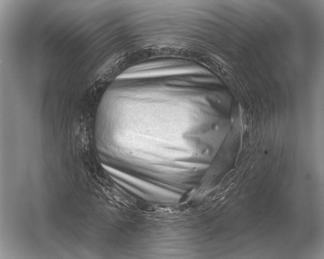 X0000056370774200509161853